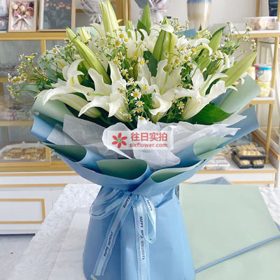 日照8支白色多头百合洋甘菊，互倾的思念