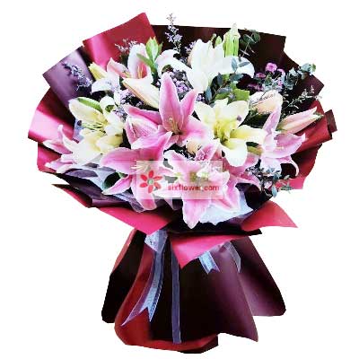日照8支百合花，天天开心