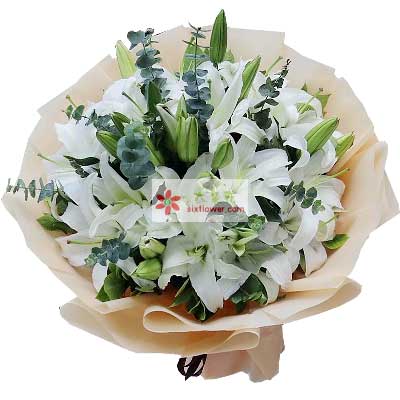 日照9支白色多头百合，祝福你幸福